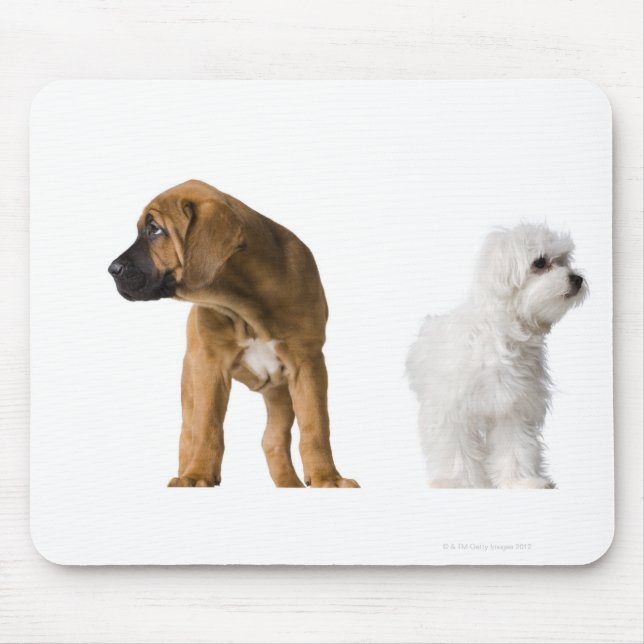 Mousepad Dois Cães (Frente)