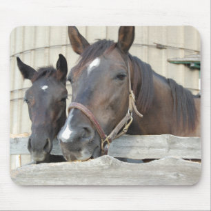 Mousepad Dois cavalos Chewin uma cerca