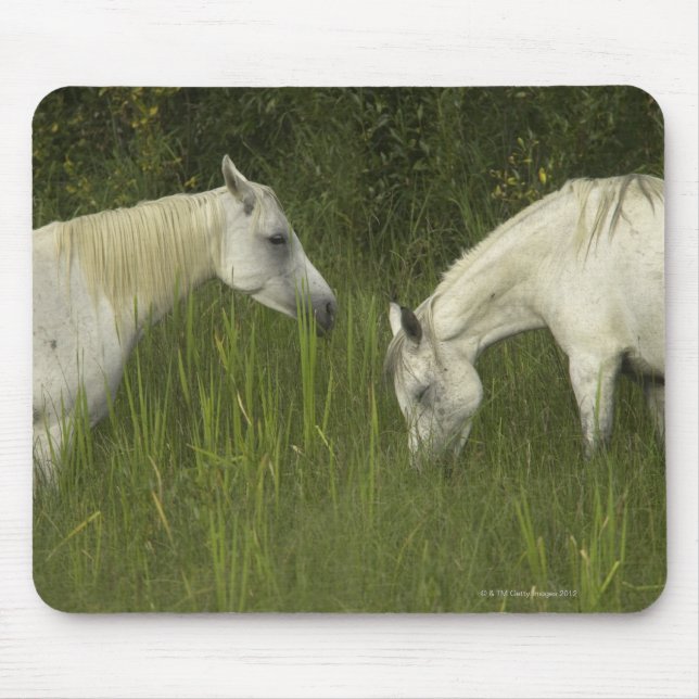 Mousepad Dois cavalos comendo grama (Frente)