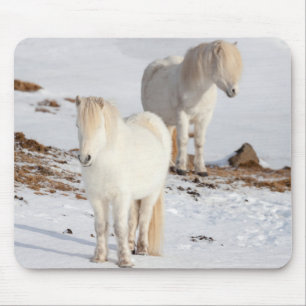 Mousepad Dois Cavalos Islandeses Brancos