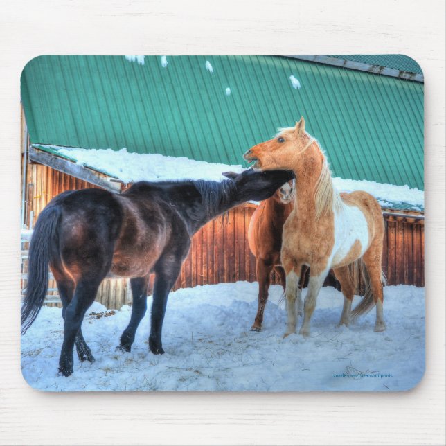 Mousepad Dois Cavalos Jogando Com Fotografia De Equídeos En (Frente)