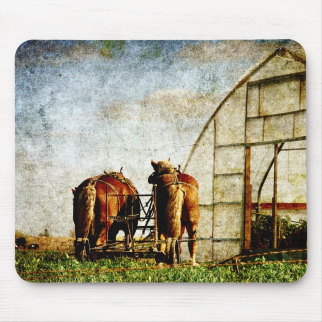 Mousepad Dois Cavalos Prontos Para Trabalho (Frente)