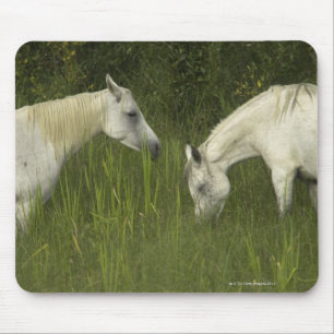 Mousepad Dois cavalos que comem a grama