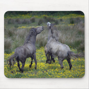 Mousepad Dois Cavalos Saltam e Jogam