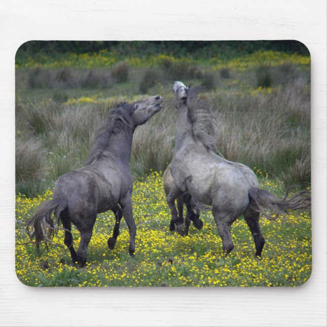 Mousepad Dois Cavalos Saltam e Jogam (Frente)