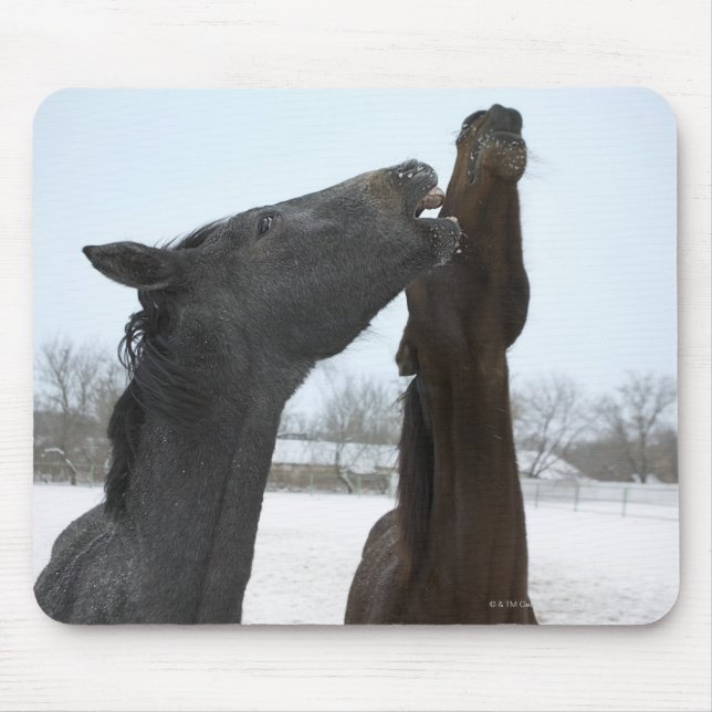Mousepad dois cavalos vizinhos (Frente)