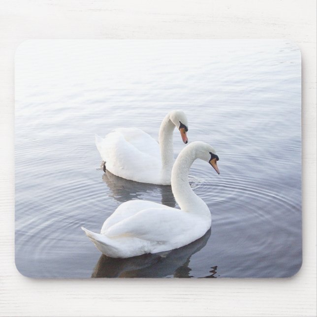 Mousepad Dois Cisnes Nadando no Lago Tranquilo (Frente)
