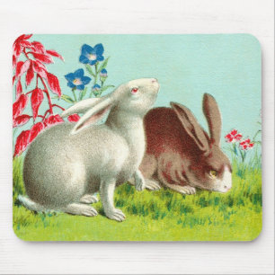 Mousepad Dois coelhos