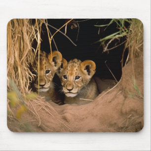 Mousepad Dois Cubos de Leão