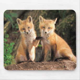 Mousepad Dois filhotes de raposa vermelha em frente à sua t