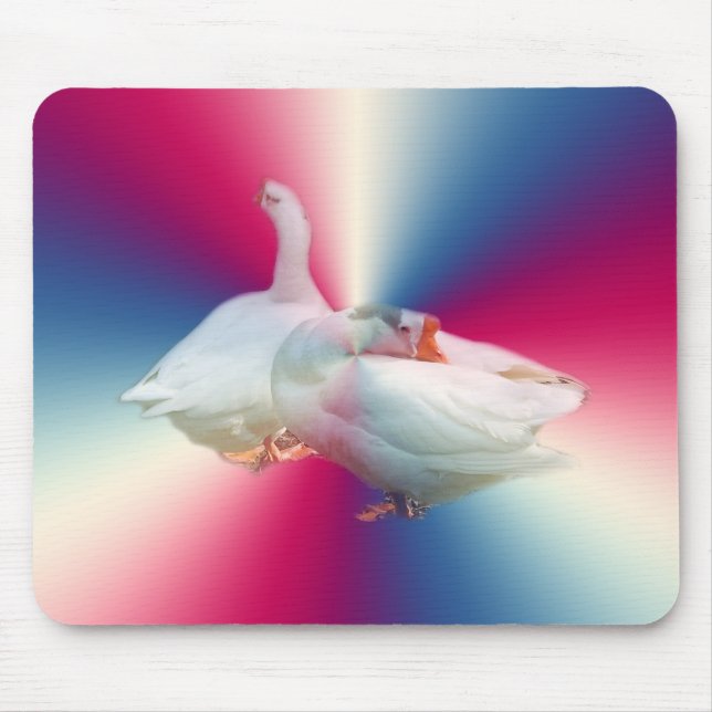 Mousepad dois gansos brancos no fundo do rico. (Frente)