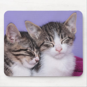 Mousepad Dois gatinhos bonitos que Napping