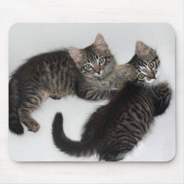 Mousepad Dois gatinhos de Querido com proteção de mouse (Frente)