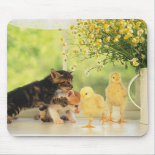 Mousepad Dois gatinhos e dois pintinhos que jogam, vista