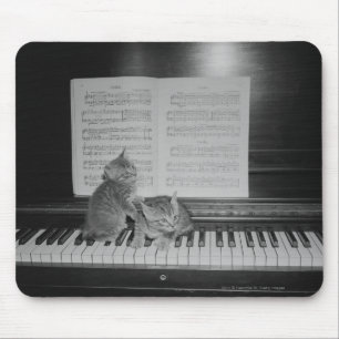Mousepad Dois gatinhos que sentam-se no teclado de piano