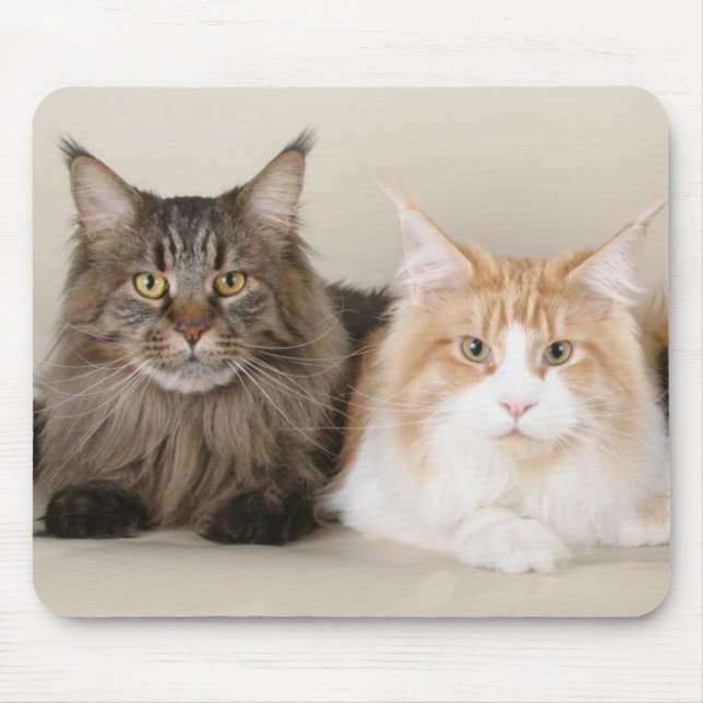 Mousepad Dois Gatos De Maine Coon (Frente)