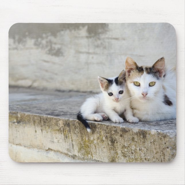Mousepad Dois gatos em passos de pedra (Frente)