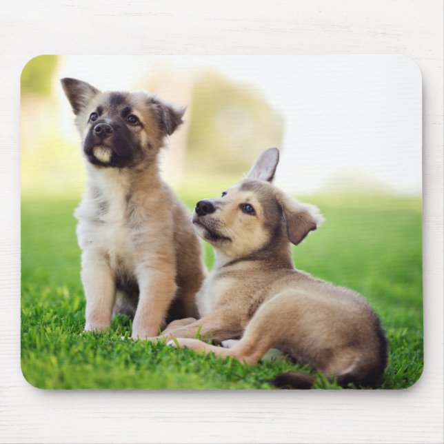Mousepad Dois German shepherd (Frente)