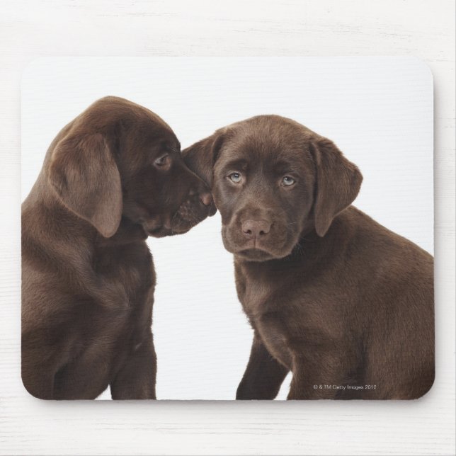 Mousepad Dois labradores de chocolate (Frente)