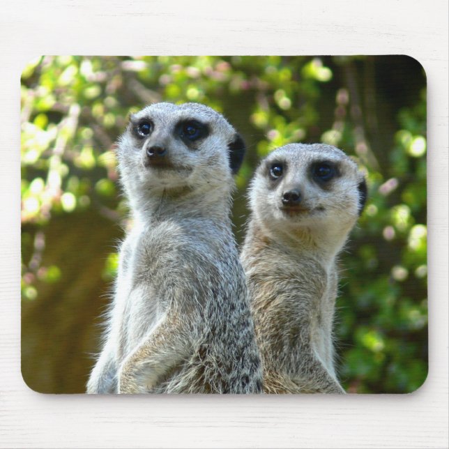 Mousepad Dois Meerkats (Frente)