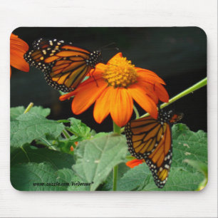 Mousepad Dois monarca