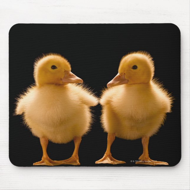 Mousepad Dois patinhos olhando um para o outro (Frente)