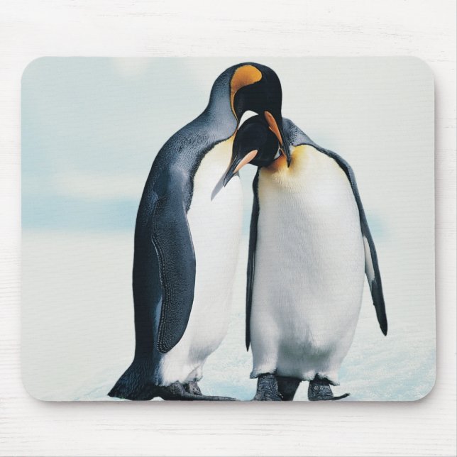 Mousepad Dois pinguins afetivos (Frente)
