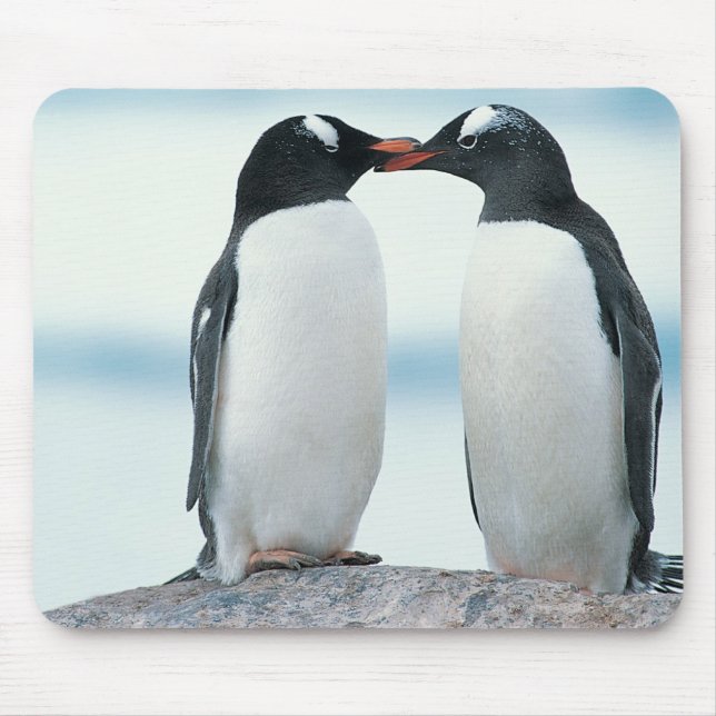 Mousepad Dois pinguins tocando bicos (Frente)