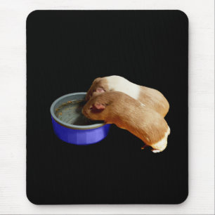 Mousepad Dois Porcos Castanhos E Guiné Branca,