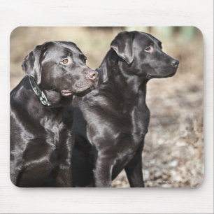 Mousepad Dois retrievers de Labrador pretos