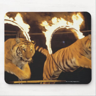 Mousepad Dois tigres que pulam através dos anéis de fogo