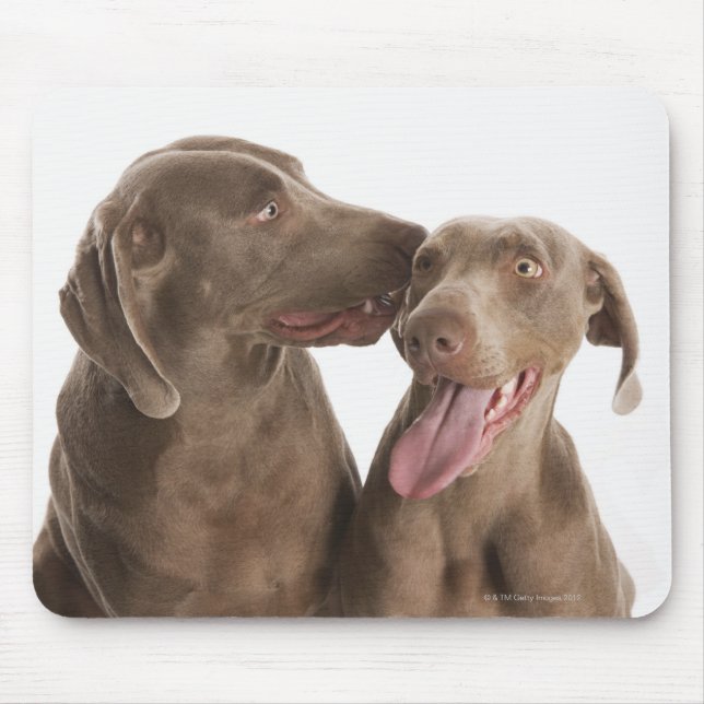 Mousepad Dois Weimaraners (Frente)