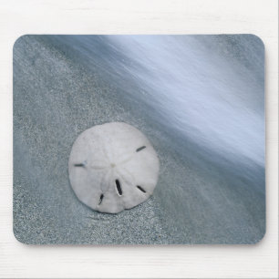 Mousepad Dólar-da-praia na Praia   Ilha de Sanibel, Flórida