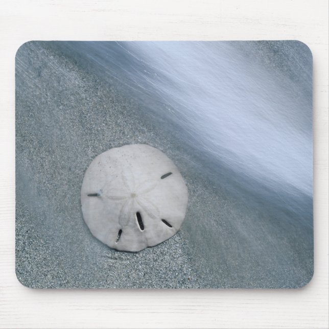 Mousepad Dólar-da-praia na Praia | Ilha de Sanibel, Flórida (Frente)