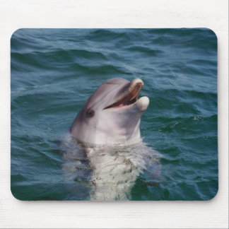 Mousepad Dolfin