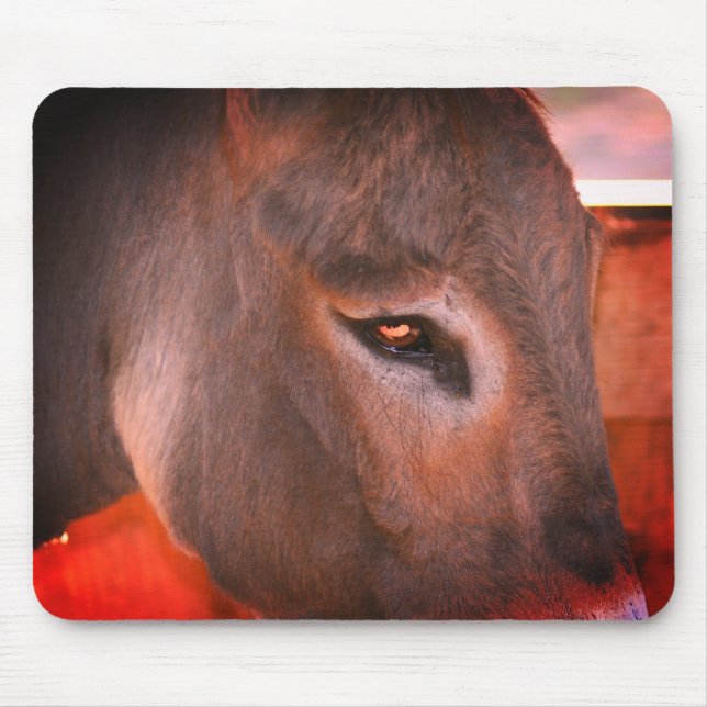 Mousepad Donkey Thoughts (Frente)