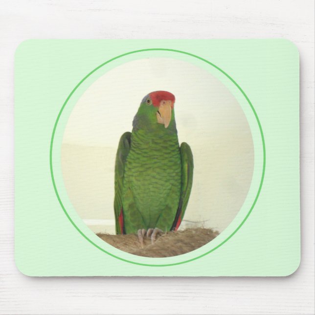 Mousepad Dooley 1 (Frente)