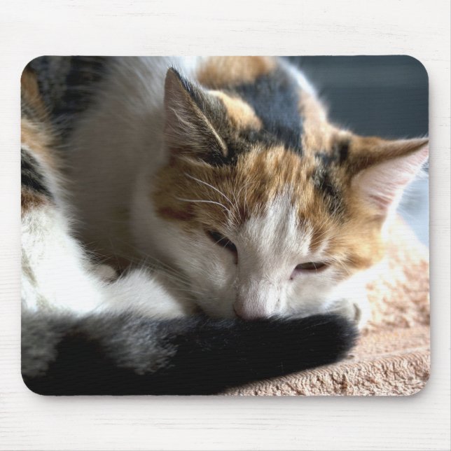 Mousepad Dormindo Calico (Frente)