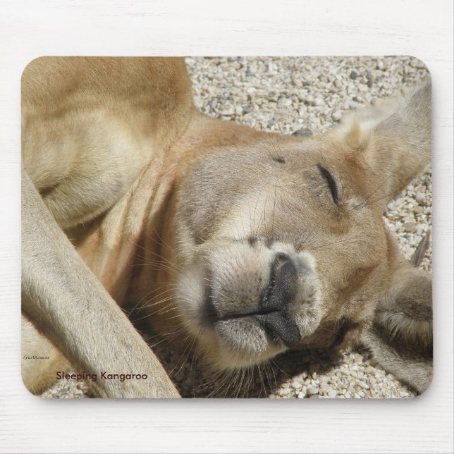 Mousepad Dormindo Kangaroo Foto Austrália (Frente)