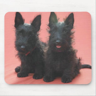 Mousepad dos filhotes de cachorro de Terrier do