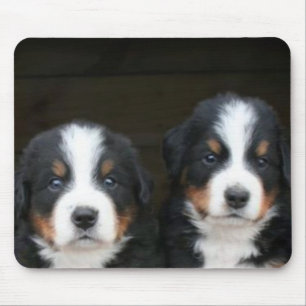 Mousepad dos filhotes de cachorro do cão de