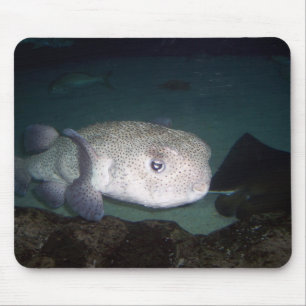Mousepad dos peixes do soprador