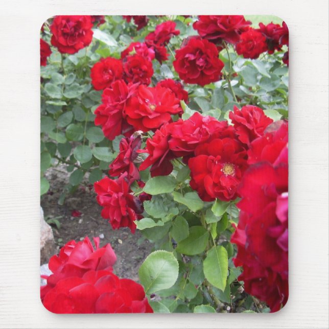 Mousepad dos rosas (Frente)