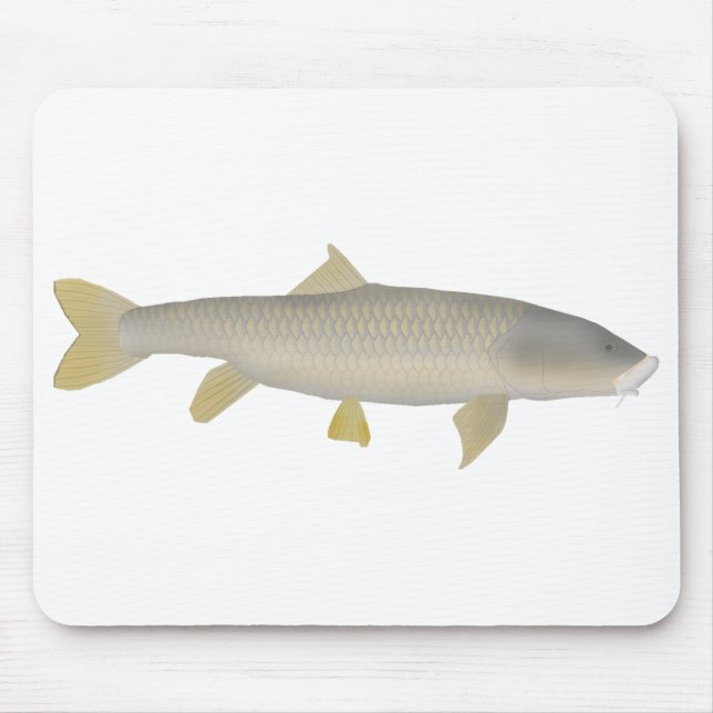 Mousepad Dourada Mahseer (Frente)