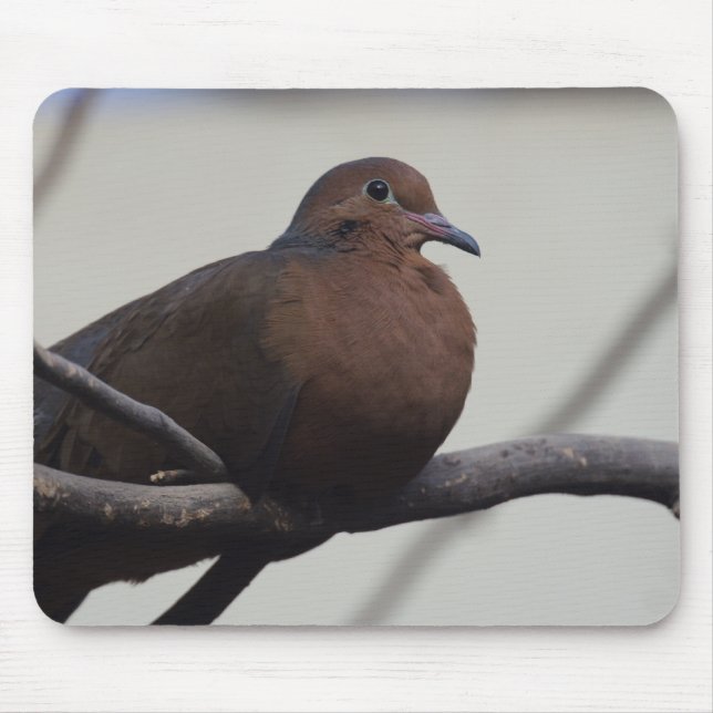 Mousepad Dove de Grayson (Frente)