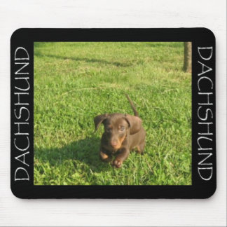 Mousepad Doxie de funcionamento