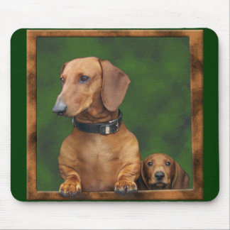 Mousepad Doxies no mousepad!