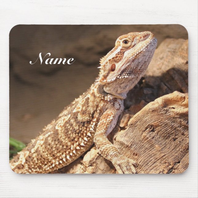 Mousepad Dragão Carborizado Personalizado (Frente)