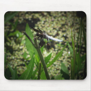 Mousepad Dragão da lagoa