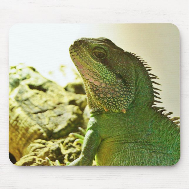 Mousepad Dragão de água chinês (Frente)